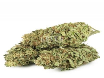 Buy Sour Diesel Marijuana Strain Online